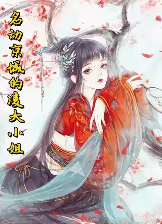 名动京城的凌大小姐小说