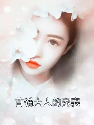 首辅大人的宠妾