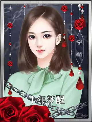十年梦醒小说