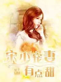 宋少宠妻有点甜小说