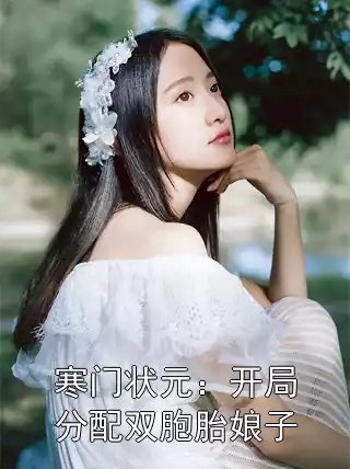 寒门状元：开局分配双胞胎娘子小说