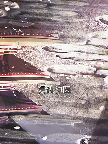 复仇神医小说