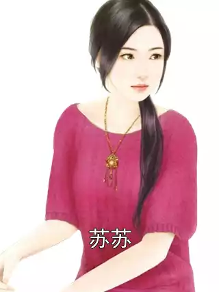 苏苏小说