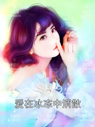 爱在冰冻中消散小说
