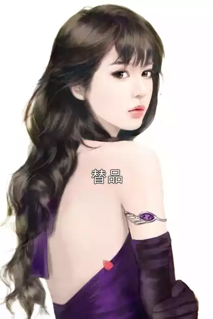 替品小说