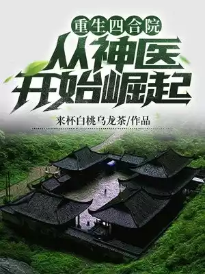 重生四合院从神医开始崛起小说