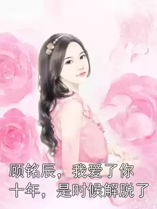 顾铭辰，我爱了你十年，是时候解脱了小说