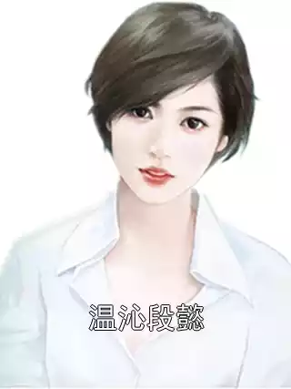 温沁段懿小说