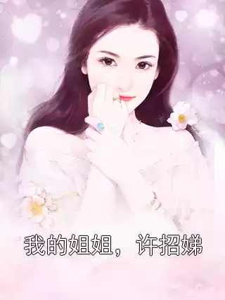我的姐姐，许招娣小说