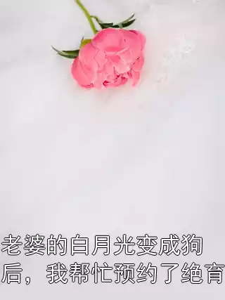 老婆的白月光变成狗后，我帮忙预约了绝育小说