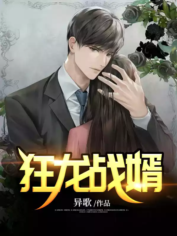 狂龙战婿小说
