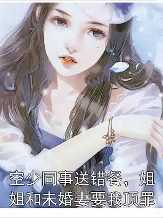 空少同事送错餐，姐姐和未婚妻要我顶罪小说