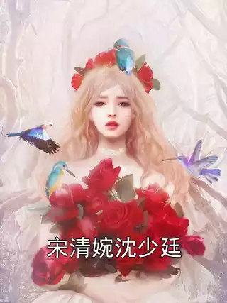 宋清婉沈少廷小说