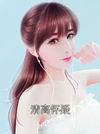清高怀疑小说
