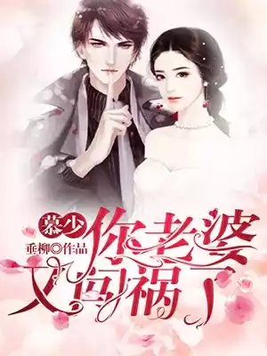慕少你老婆又闯祸了小说