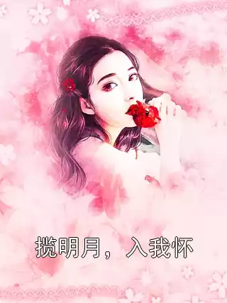 揽明月，入我怀小说