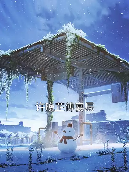 许晚芷傅宴辰小说
