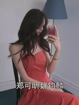 郑可昕魏钧麟小说