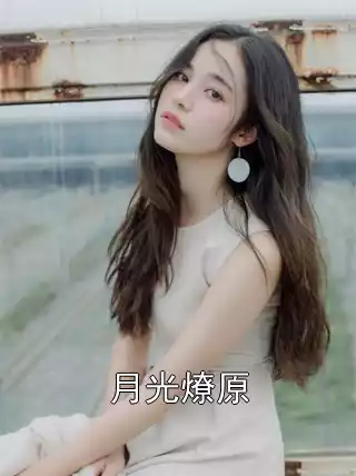 月光燎原小说