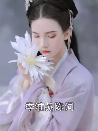 季淮苏陈词小说
