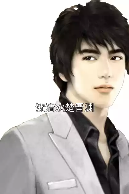 沈清欢楚晋渊小说