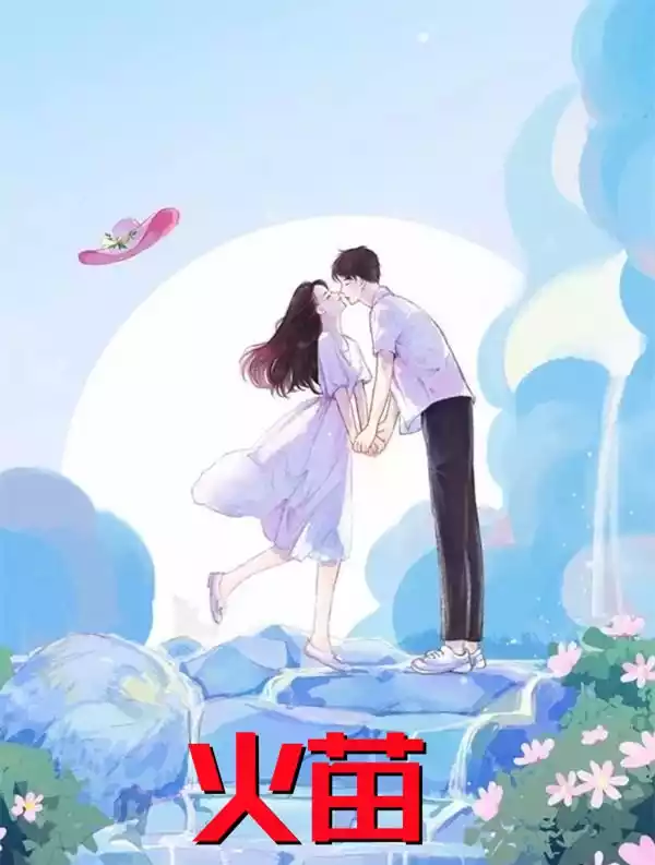 火苗小说