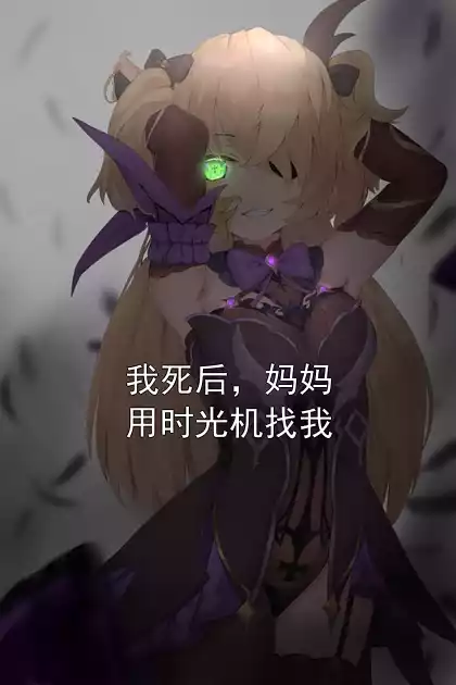 我死后，妈妈用时光机找我小说