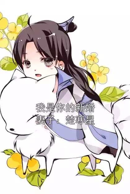 我是你的新婚妻子：楚寒星小说