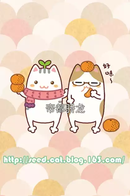 帝都骄龙小说