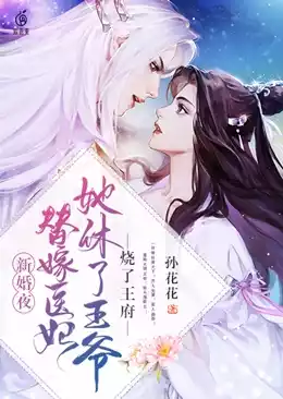新婚夜替嫁医妃她休了王爷烧了王府小说