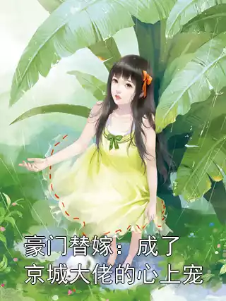 豪门替嫁：成了京城大佬的心上宠