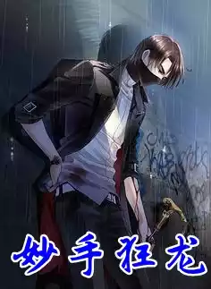 妙手狂龙小说