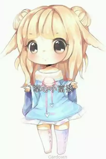 掌心小富婆小说