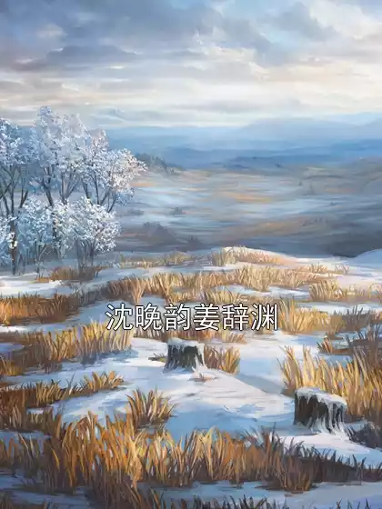 沈晚韵姜辞渊小说