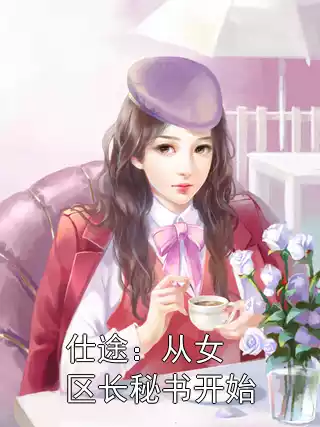 仕途：从女区长秘书开始