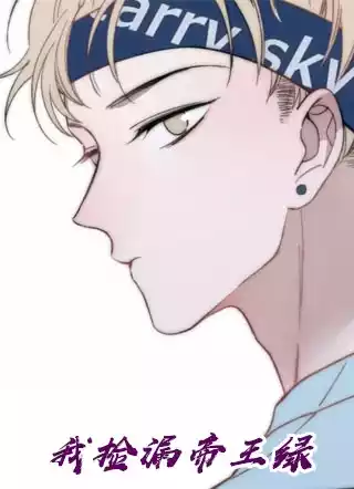我捡漏帝王绿小说