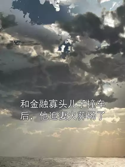 和金融寡头儿子撞车后，他追妻火葬场了小说