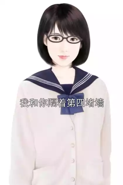 我和你隔着第四堵墙小说