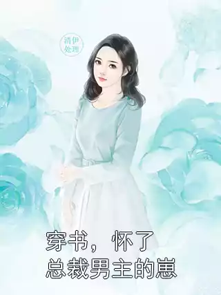穿书，怀了总裁男主的崽小说