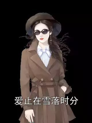 爱止在雪落时分小说