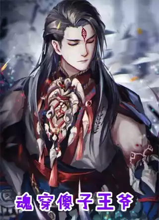 魂穿傻子王爷小说