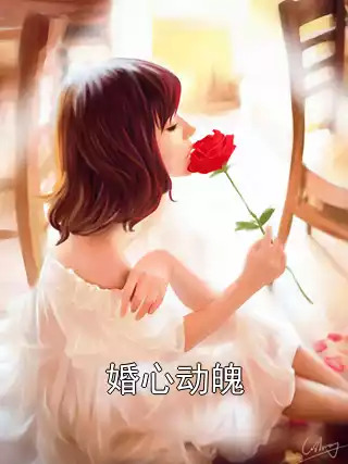 婚心动魄小说