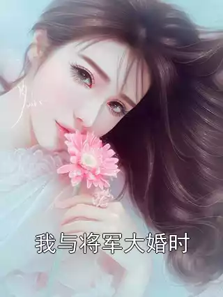 我与将军大婚时小说