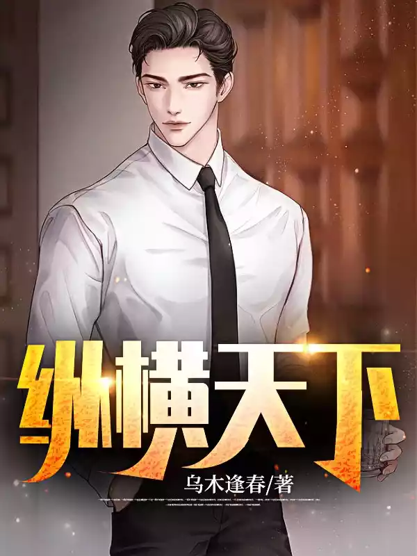 纵横天下小说