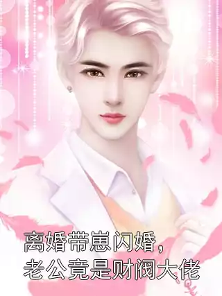 离婚带崽闪婚，老公竟是财阀大佬小说