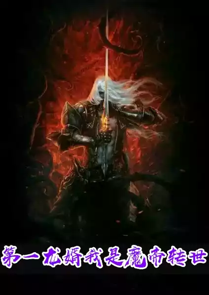 第一龙婿我是魔帝转世小说