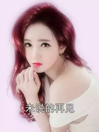 未说的再见小说