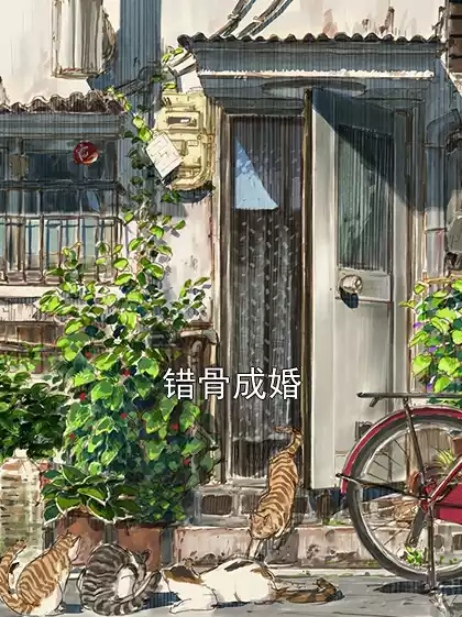 错骨成婚小说