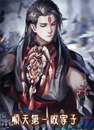 顺天第一败家子小说