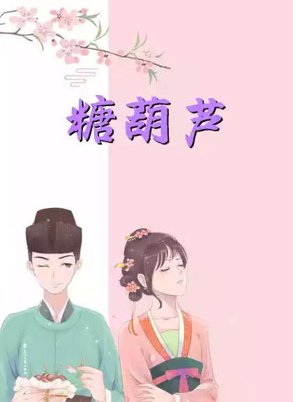 糖葫芦小说